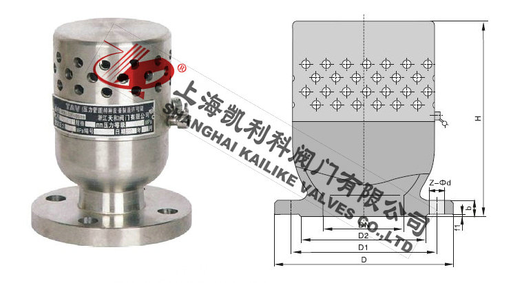 TFA72W負壓安全閥外形結構圖